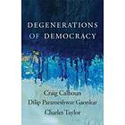 Degenerations Of Democracy