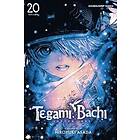 Tegami Bachi, Vol. 20