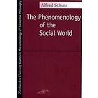 Phenomenology Of The Social World