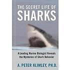 The Secret Life Of Sharks