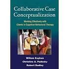 Collaborative Case Conceptualization