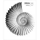 Glänta 3(2021) Siffror