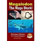 Megalodon The Mega Shark!