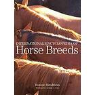 International Encyclopedia Of Horse Breeds