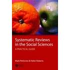 Systematic Reviews In The Social Sciences – A Practical Guide
