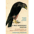 A Most Remarkable Creature: The Hidden Life Of The World's Smartest Birds Of Pre
