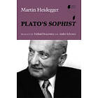 Plato's Sophist
