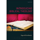 Introducing Biblical Theology