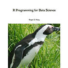 R Programming For Data Science