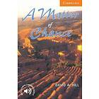 A Matter Of Chance Level 4