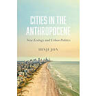 Cities In The Anthropocene