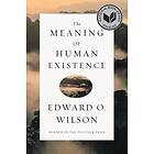 The Meaning Of Human Existence