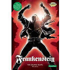 Frankenstein The Graphic Novel: Quick Text