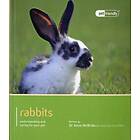 Rabbit Pet Friendly