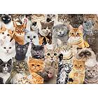 All The Cats 1.000 Piece Jigsaw Puzzle