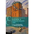 The Cambridge Companion To Business And Human Rights Law