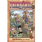 Fairy Tail 28