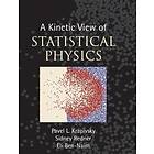 A Kinetic View Of Statistical Physics