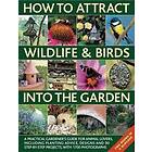 How To Attract Wildlife & Birds Into The Garden