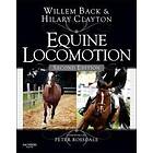 Equine Locomotion