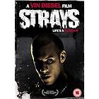 Strays (UK) (DVD)