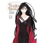 Fruits Basket Collector's Edition, Vol. 11