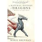 A Natural History Of Dragons