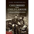 Childhood And Child Labour In The British Industrial Revolution