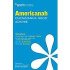 Americanah By Chimamanda Ngozi Adichie