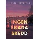 Ingen Skada Skedd