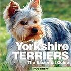 Yorkshire Terriers