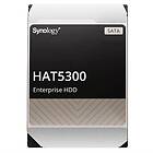 Synology HAT5300 256Mo 4To