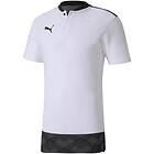 Puma TeamFinal Casuals Polo Shirt (Herre)