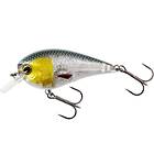Westin Fishing BassBite 2.5 Squarebill 7cm 16g Floating 3D Headlight