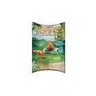 Playmobil Wiltopia 71065 Squirrels