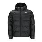 Adidas Midweight Down Hooded Jacket (Women's)