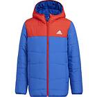 Adidas Padded Winter Jacket (Jr)