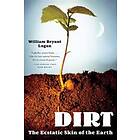 Dirt (DVD)