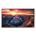 Samsung QM55B-T 55" 4K UHD