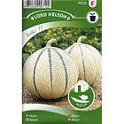 Nelson Garden Melon 'Stellio' F1