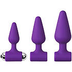 Baseks Beginner Vibrating Butt Plug Set
