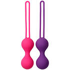 Baseks Kegel Balls Training Set