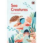 A Ladybird Book: Sea Creatures