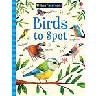 Birds To Spot