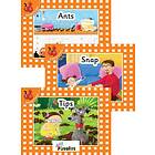 Jolly Phonics Orange Level Readers Set 1