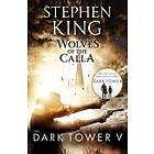 The Dark Tower V