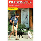 Pilegrimstur Til Santiago De Compostela