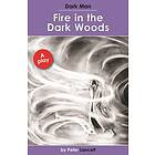 Fire In The Dark Woods