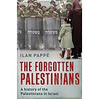 The Forgotten Palestinians