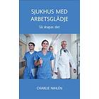 Sjukhus Med Arbetsglädje Så Skapas Det